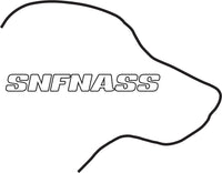 SNFNASS